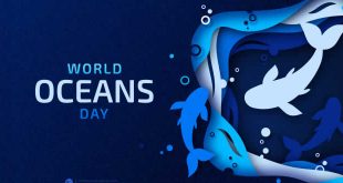 World Oceans Day Information For Students