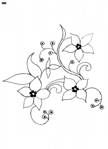 Aari embroidery is practiced in various regions such as in Kashmir and Kutch (Gujarat).