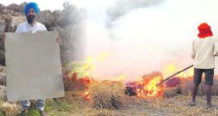 Jalandhar farmer have solution to stubble burning