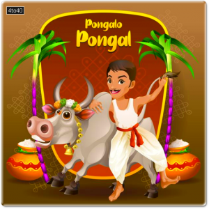 Pongal greetings with happy farmer and bull