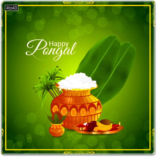 Happy Pongal Greeting