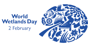 World Wetlands Day Information For Students