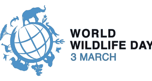 World Wildlife Day Information For Students