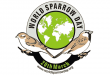 World Sparrow Day: विश्व गौरया दिवस - 20 March