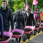 Extinction Rebellion DC carries pink wheel barrows full of cow manure to dump outside the White House on Earth Day to protest President Biden’s climate plan in Washington