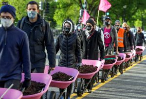 Extinction Rebellion DC carries pink wheel barrows full of cow manure to dump outside the White House on Earth Day to protest President Biden’s climate plan in Washington