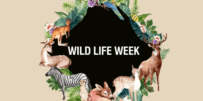Wild Life Week