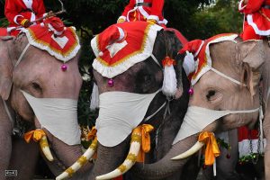 Santa Claus gave his sleigh and reindeer a break and rode elephants in Thailand during a special Christmas visit aimed at raising awareness about the threat of the Corona Virus