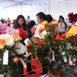 A stall of flower arrangements