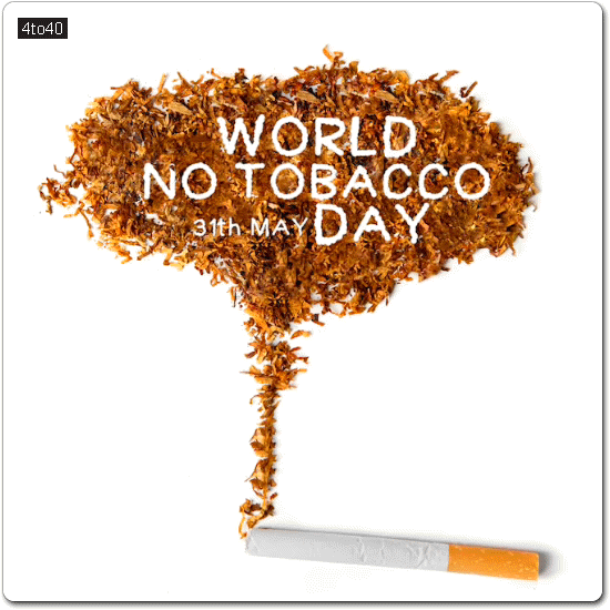 Cigarette with word No Tobacco Day Text