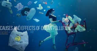Causes And Effects Of Ocean Pollution