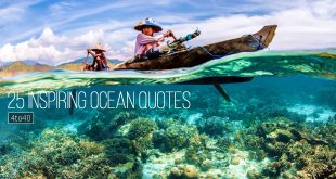 Ocean and Sea Quotes In English For Students