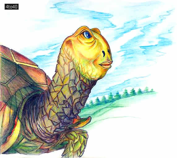 Turtle was listening very patiently as if she understood everything ~ Illustration By: Amarjeet Malik