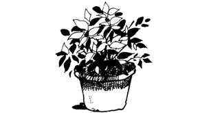 Radha's Prize: Andal Ananthanarayanan