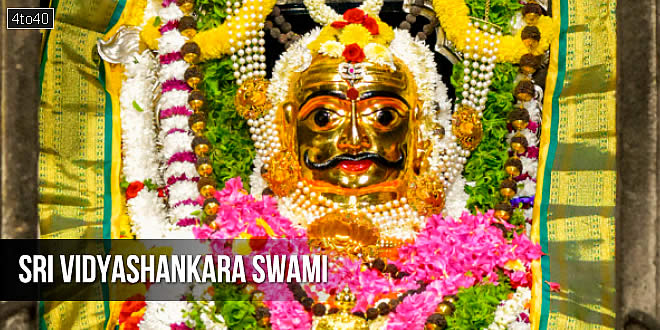श्री विद्याशंकर स्वामी