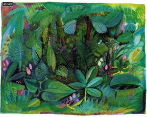 The thick canopy of the jungle is rarely penetrated by the sun