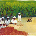 At work on a cocoa plantation