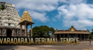 वरदराज पेरुमल मंदिर, कांचीपुरम, तमिल नाडु