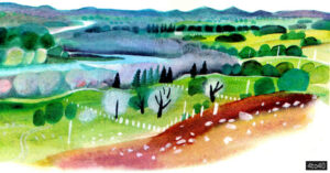 A typical view of North Island countryside