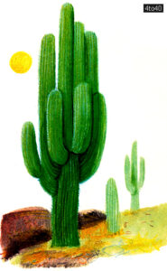 A prickly pear plant