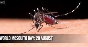 विश्व मच्छर दिवस: World Mosquito Day
