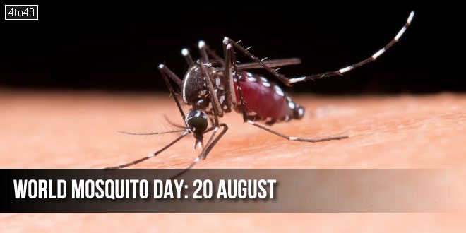 विश्व मच्छर दिवस: World Mosquito Day