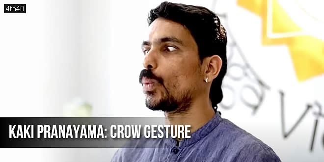 Kaki Pranayama (Crow Gesture): काकी योग मुद्रा Precaution, Technique, Benefits