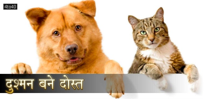 दुश्मन बने दोस्त: डींगें हांकने में माहिर कुत्ते, बिल्ली और बन्दर की बाल कहानी