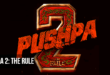 Pushpa 2: 2024 Telugu Action Drama Film Trailer, Songs, Review
