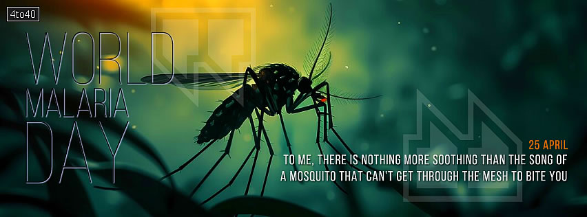 Song of a mosquito World Malaria Day Facebook Poster