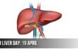 World Liver Day: Information, Cleansing Tips, Functions & Diseases