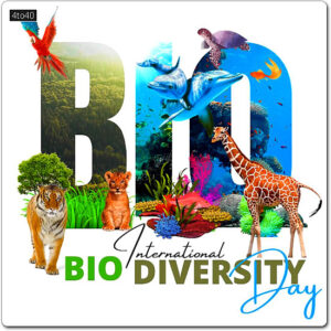 Let's celebrate the biodiversity to raise awareness about the positive impact of conservation