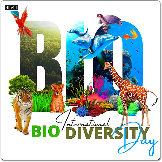 Let's celebrate the biodiversity to raise awareness about the positive impact of conservation
