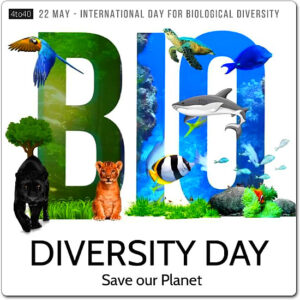 A time to increase people's understanding and awareness of biodiversity