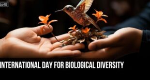 International Day for Biological Diversity: History, Theme, Importance