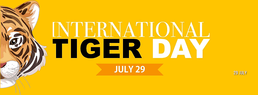 Global Tiger Day, often called International Tiger Day, is an annual celebration to raise awareness for tiger conservation