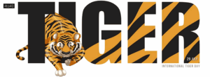International Tiger Day was created in 2010 at Saint Petersburg Tiger Summit