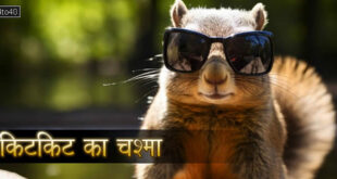 किटकिट का चश्मा: जानवरों के नेत्र देखभाल शिविर पर मजेदार हास्य कहानी