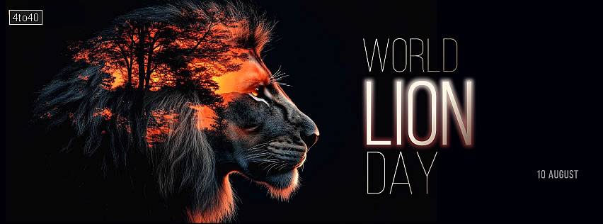 World Lion Day is celebrated annually on August 10th to raise awareness about the conservation and protection of lions