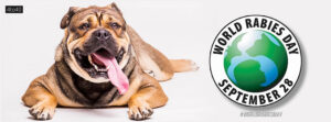 World Rabies Day global day of awareness and advocacy to help raise the profile of rabies