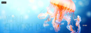 World Jellyfish Day Social Media Banner / Poster or Facebook Cover