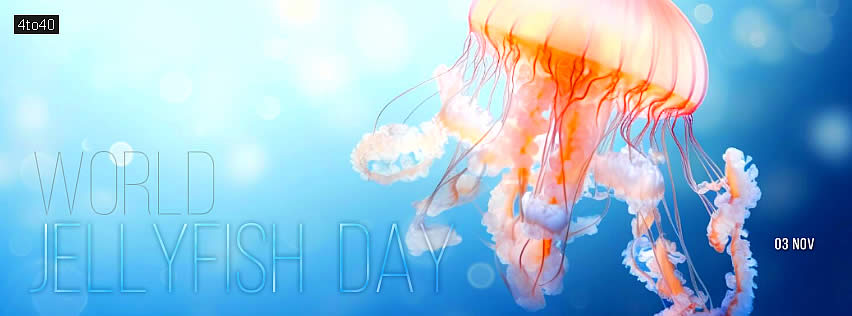 World Jellyfish Day Social Media Banner / Poster or Facebook Cover