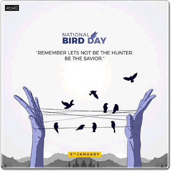 Nature lovers, bird lovers, and bird watchers across the country annually recognize National Bird Day on January 5th