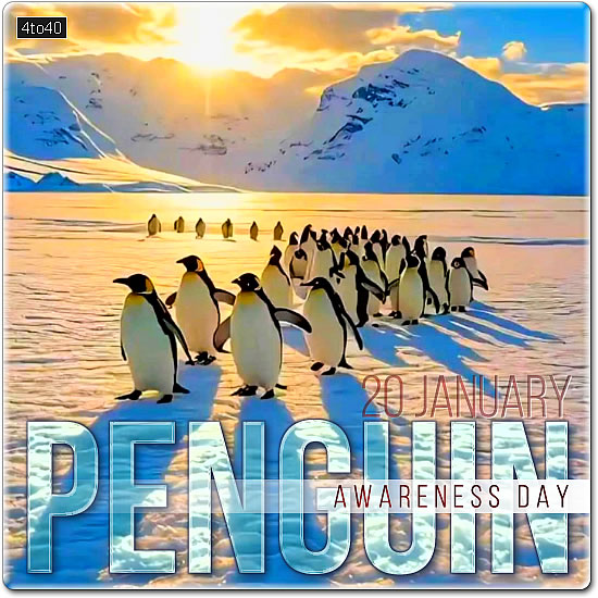 Penguin Awareness Day Digital Greeting Card