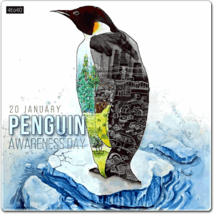 Penguin Awareness Day January 20 Digital Greeting Card
