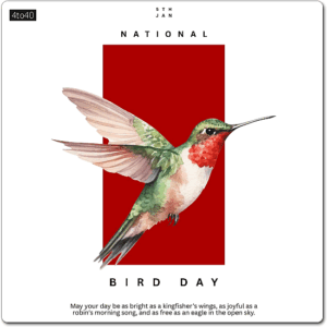 National Bird Day, which has American origins, is celebrated annually on 5th of January, to raise awareness about the value of birds in the ecosystem