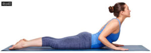 Bhujangasana भुजंगासन: The Cobra Pose
