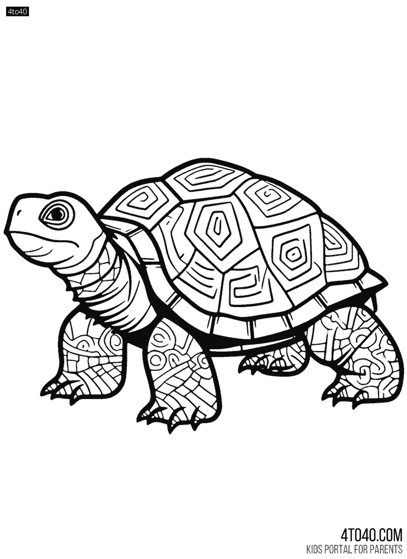 Free Turtle coloring page for School Students