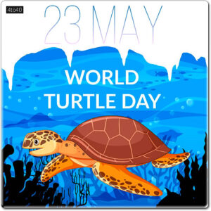 World Turtle Day Digital Greeting Card