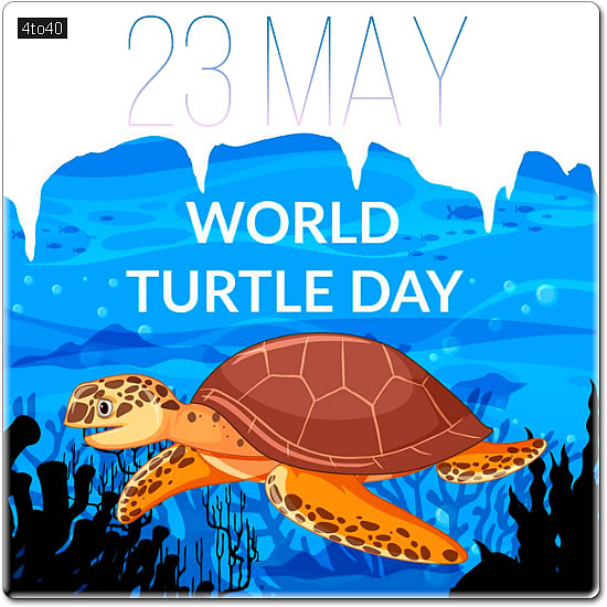 World Turtle Day Digital Greeting Card